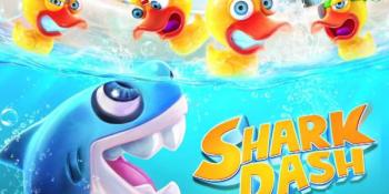 Shark Dash Shark Dash
