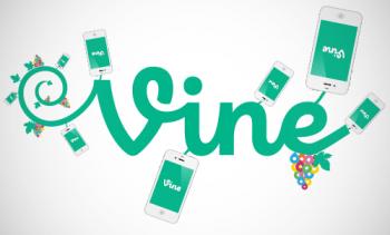 Vine Vine