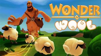 Wonder Wool Wonder Wool