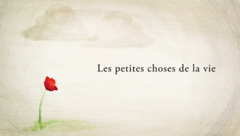 Petites Choses Petites Choses