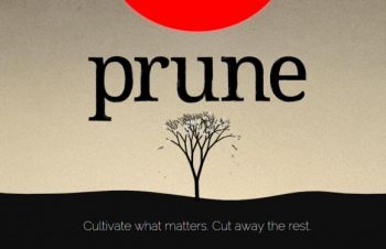 Prune Prune