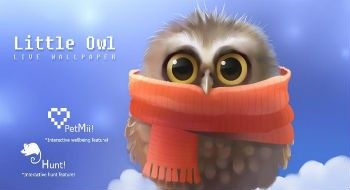 Little Owl Little Owl