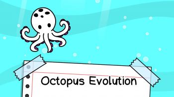 Octopus Evolution - Clicker Octopus Evolution - Clicker