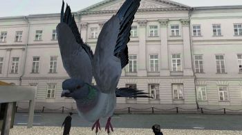 Симулятор Голубя 3D Симулятор Голубя 3D