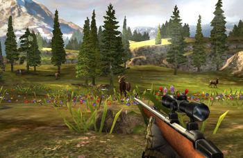 Hunting Safari Hunting Safari