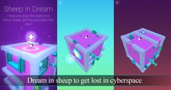 Sheep In Dream Sheep In Dream