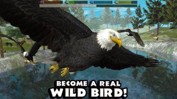 Ultimate Bird Simulator Ultimate Bird Simulator