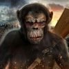 Life of Apes Jungle Survival
