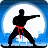 Karate Fighter: Real battles