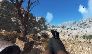 Desert Storm Desert Storm