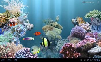 Аквариум рыбы Fish Live Аквариум рыбы Fish Live