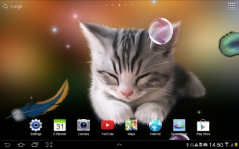 Сонный Котенок Живые Обои Сонный Котенок Живые Обои