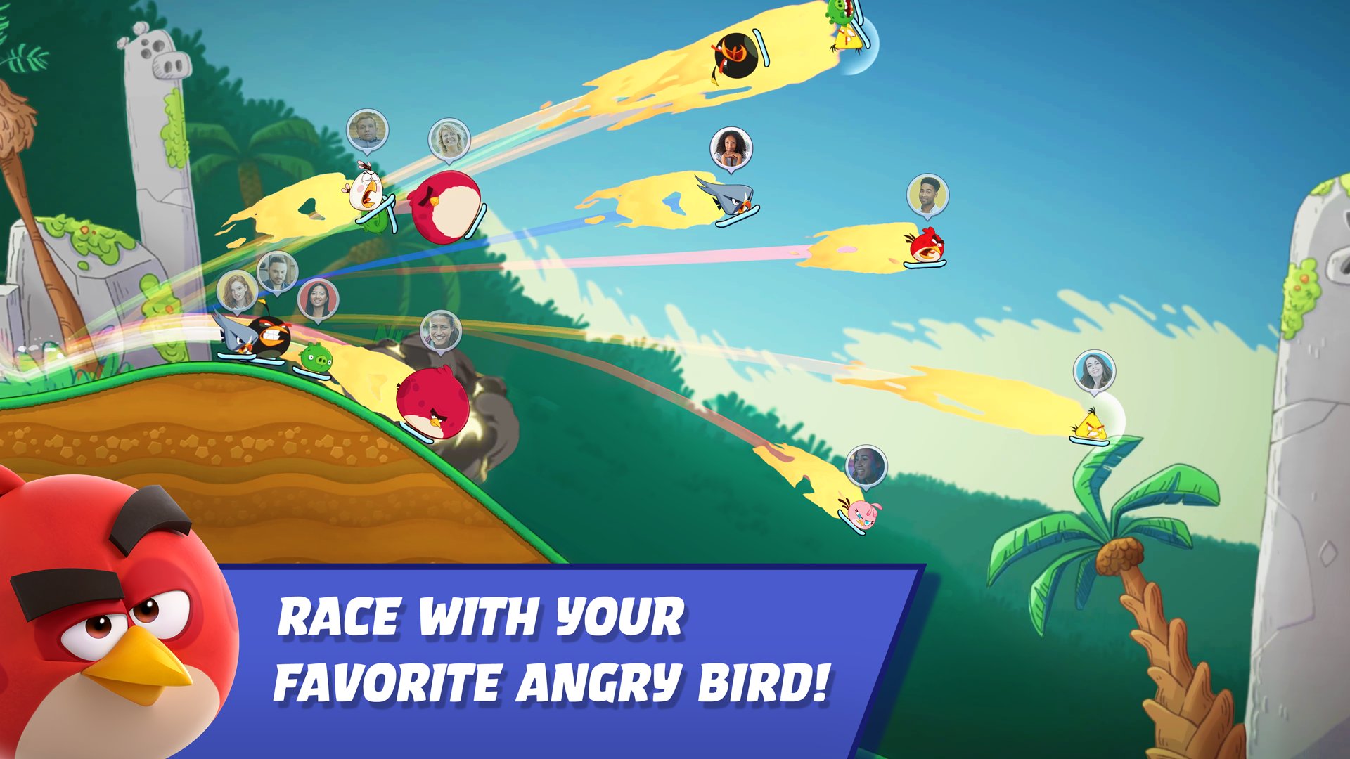 Race bird. Злые птички. Angry Birds злые птички. Гоночная птичка. Angry Birds 5 птиц.