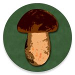 Справочник грибника