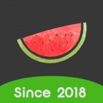 Melon VPN