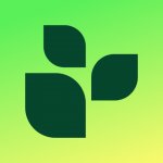 Lifesum - иконка Lifesum - иконка