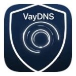 VayDNS - иконка