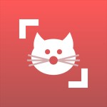 Cat Scanner: Породы кошек