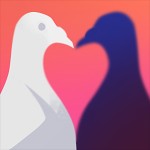 Pigeon: A Love Story