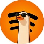 SpotiDuck - иконка